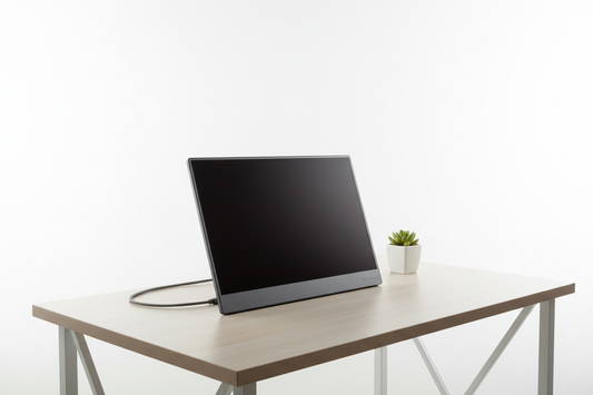 INGNOK Portable Monitor Overview